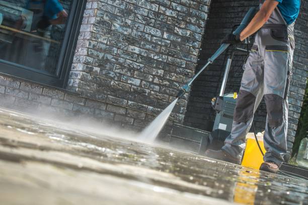Best Animal Enclosure Cleaning  in Greenback, TN